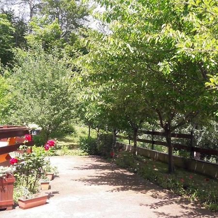 Crkvine Chalet Kolašin Zewnętrze zdjęcie